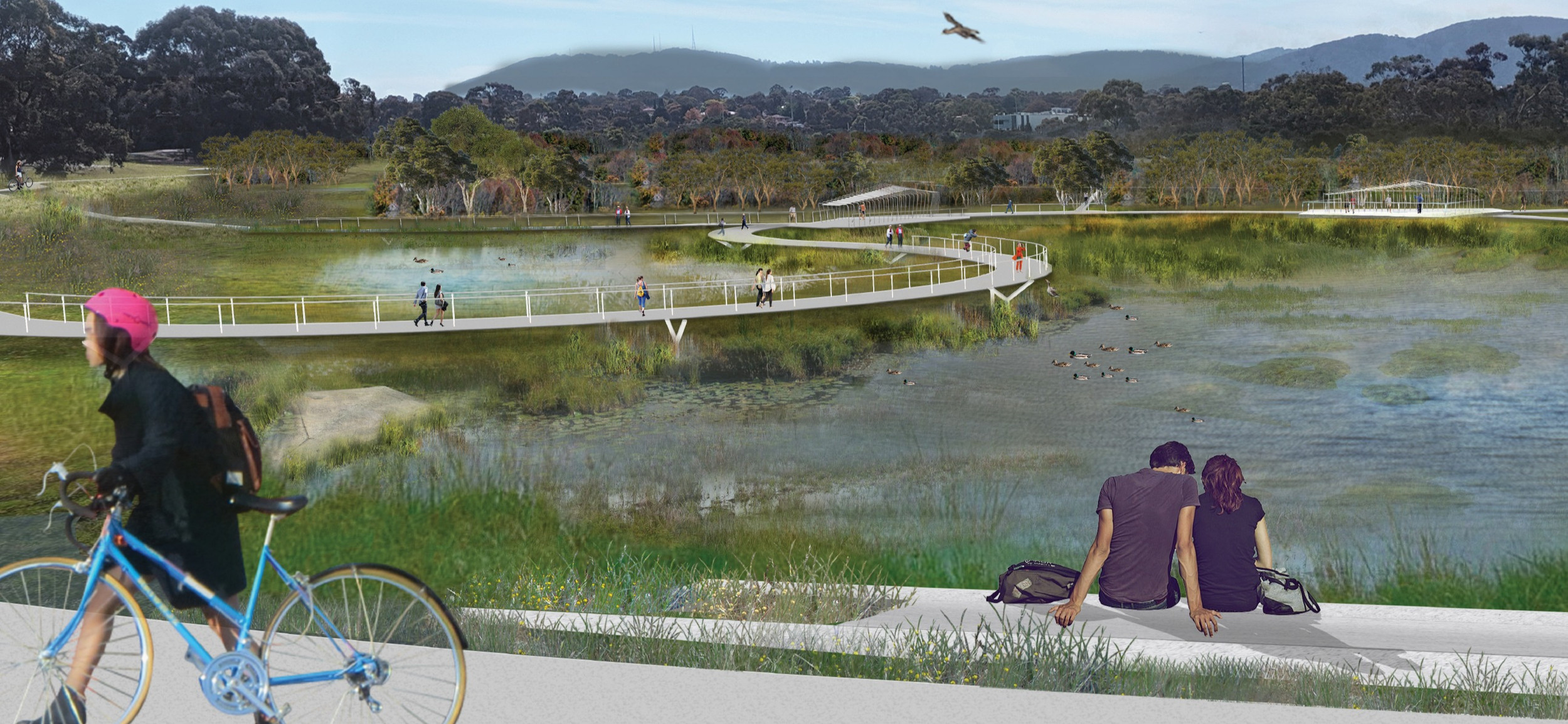 Lewis Park Waterway and Wetland Design