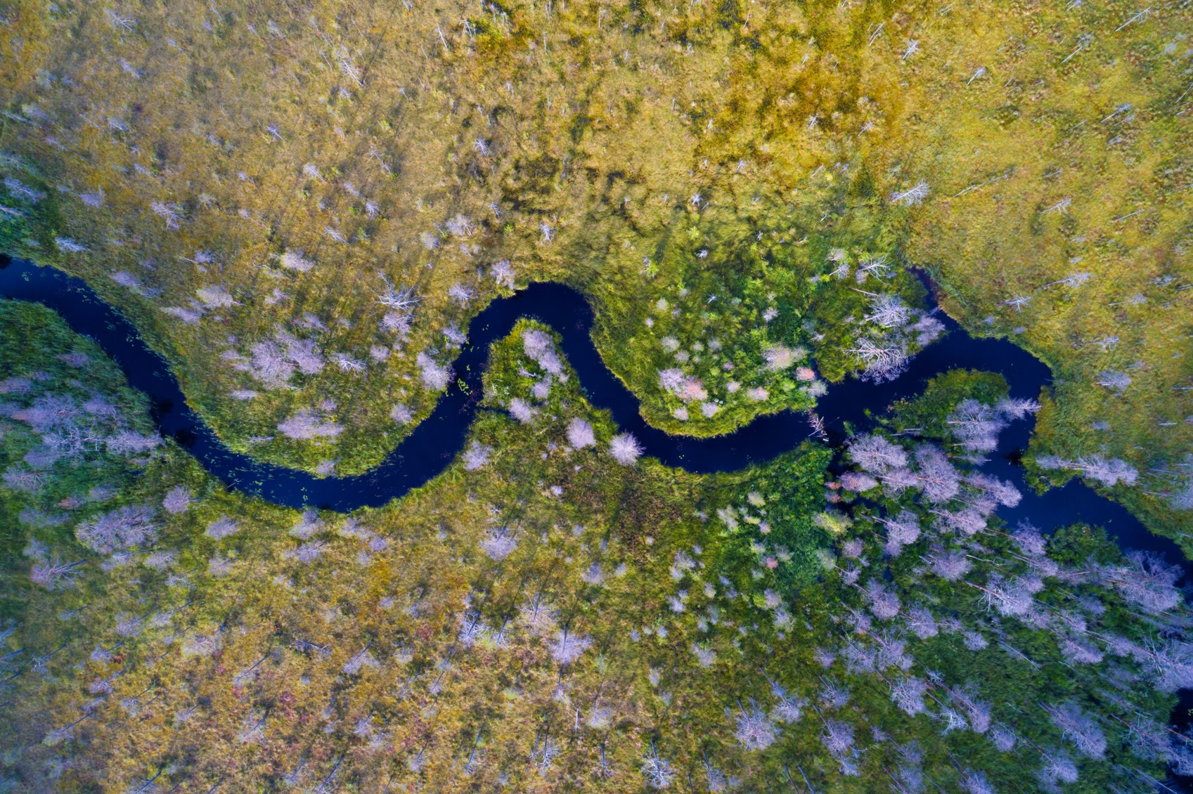 New independent water and catchment policy centre