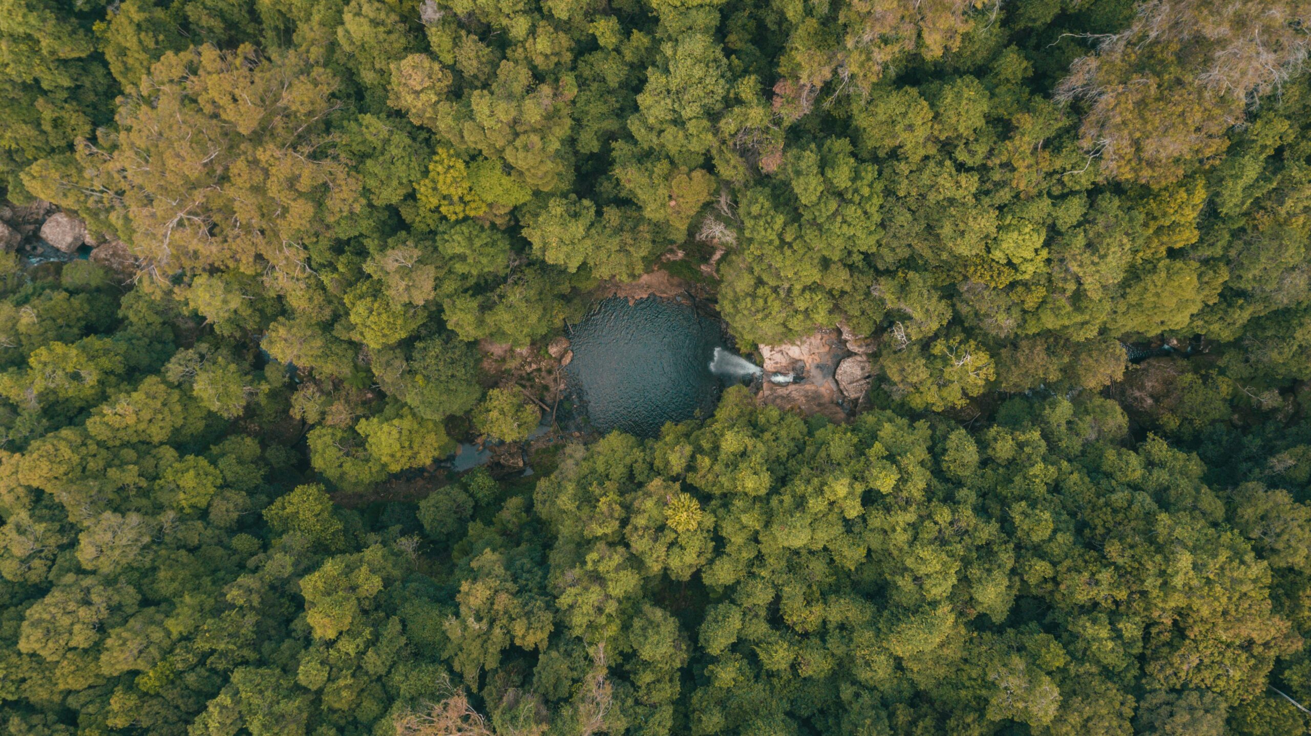 Natural Capital Business Case for NSW LLS