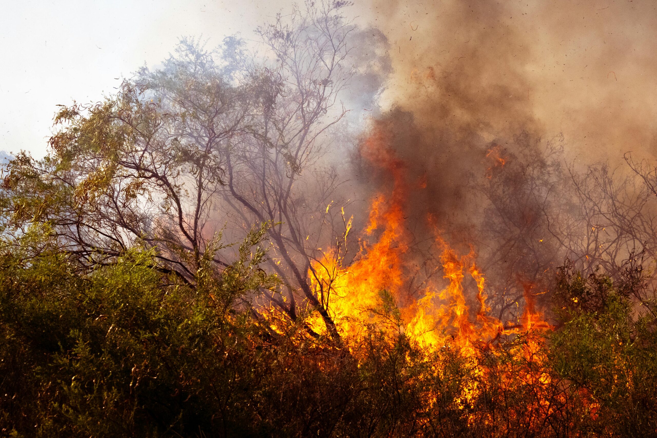 Hawkesbury Climate Risk Assessment and Adaptation