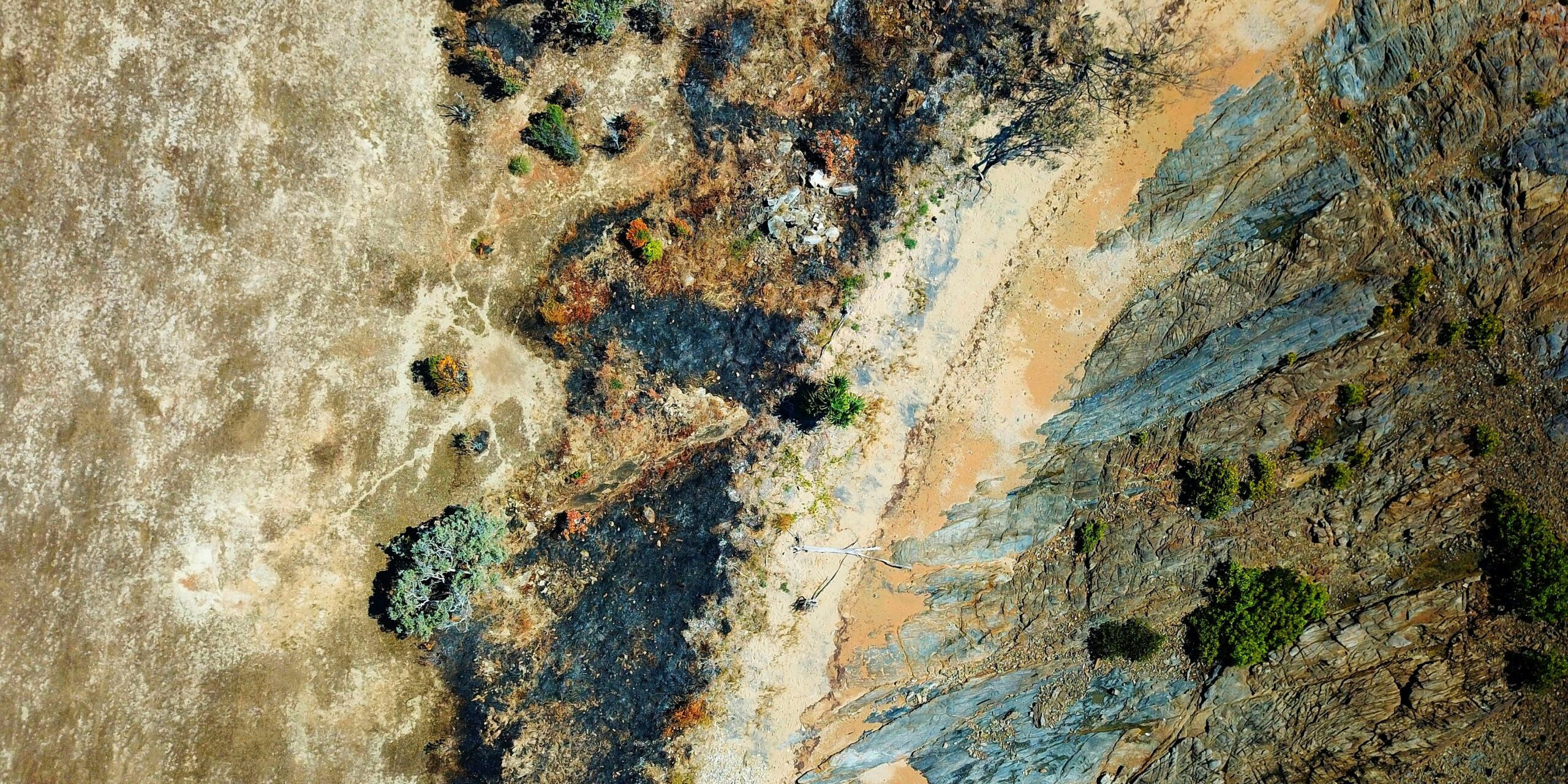 climate-risk-assessment-health